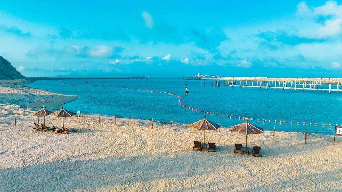 4条主题线路，带你打卡珠海“绿美海岛”