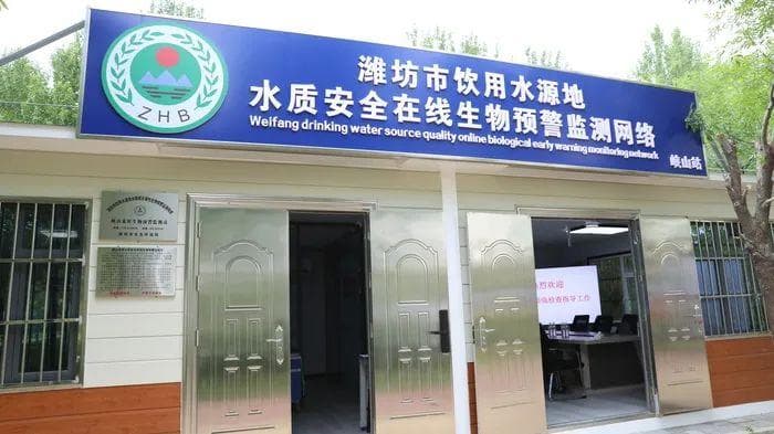 给小鱼做“心电图”预判水污染，潍坊建成山东首个水质毒性预警监测网