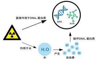 甲状腺癌与辐射：大可不必“谈辐色变”