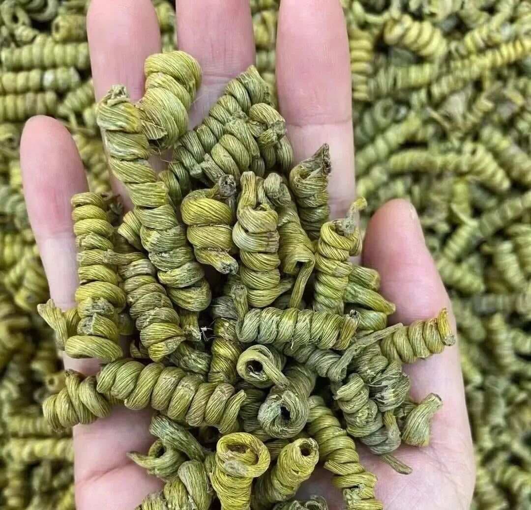 哪里产的铁皮石斛最好？三大地方特产石斛推荐
