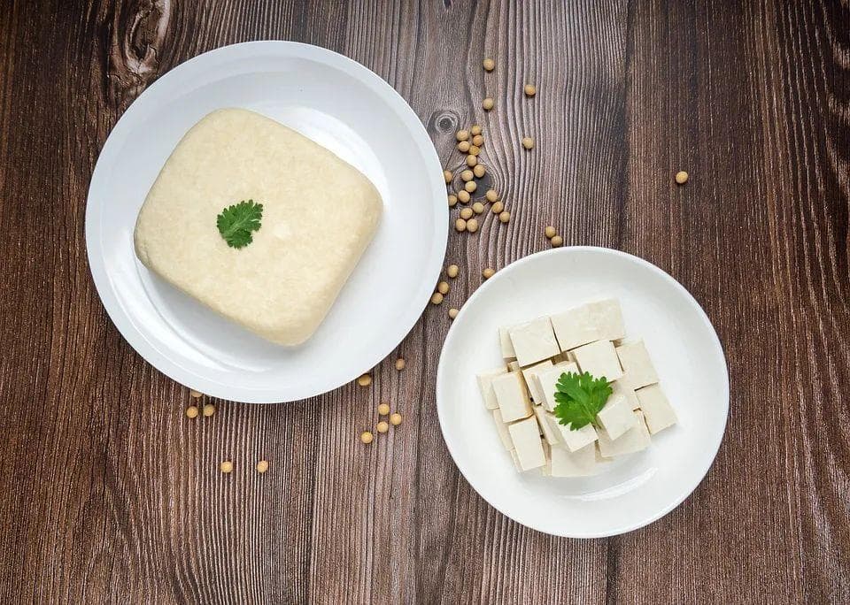 素食减重，这样吃“享”瘦健康