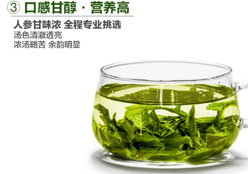 绞股蓝茶怎么泡 绞股蓝茶怎么喝效果好！
