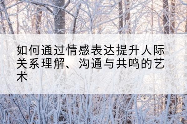 如何通过情感表达提升人际关系理解、沟通与共鸣的艺术
