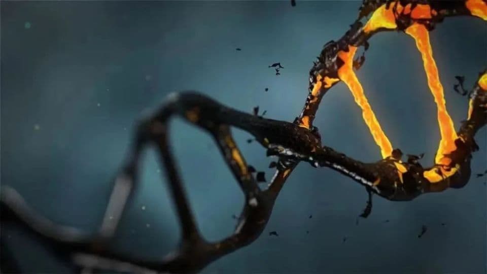 Cell系列综述：大卫·辛克莱总结8种有前景的抗衰老干预措施