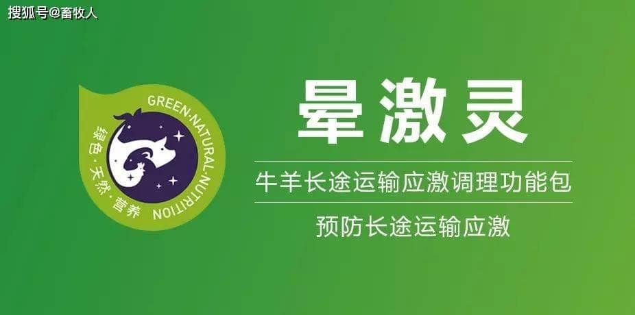 杜立新教授：未来中国羊业如何发展？