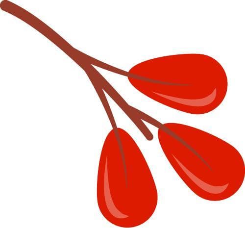 黑眼圈：不仅是熬夜的“勋章”，更是健康的“红绿灯”