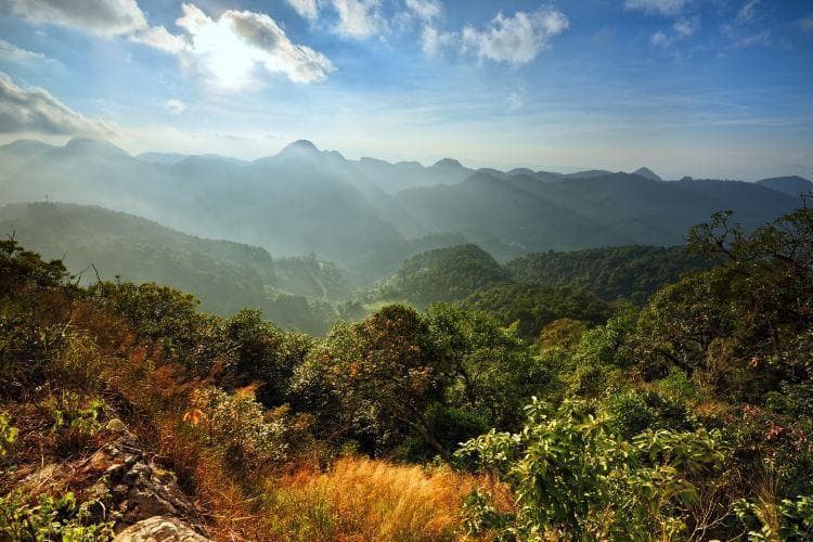 大连天门山国家森林公园游玩攻略：门票价格、景点介绍及周边配套