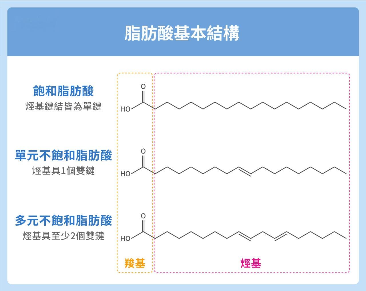 Omega-3是什么？功效、食物来源及推荐摄入量全解析