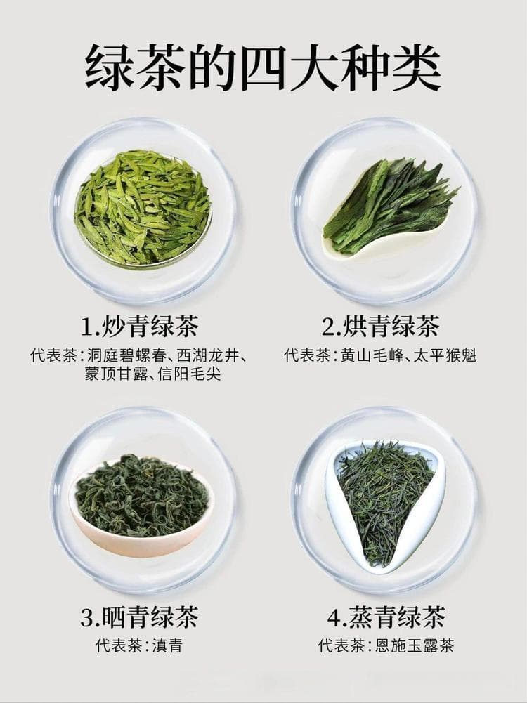 一组图片带你了解绿茶的四大种类