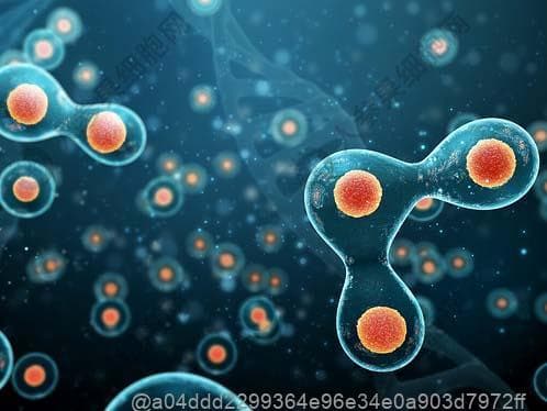 风湿热患者可以吃红薯吗？营养与注意事项全解析