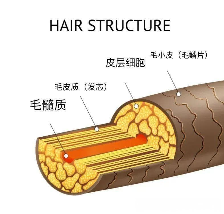 深度剖析护发素配方及工艺