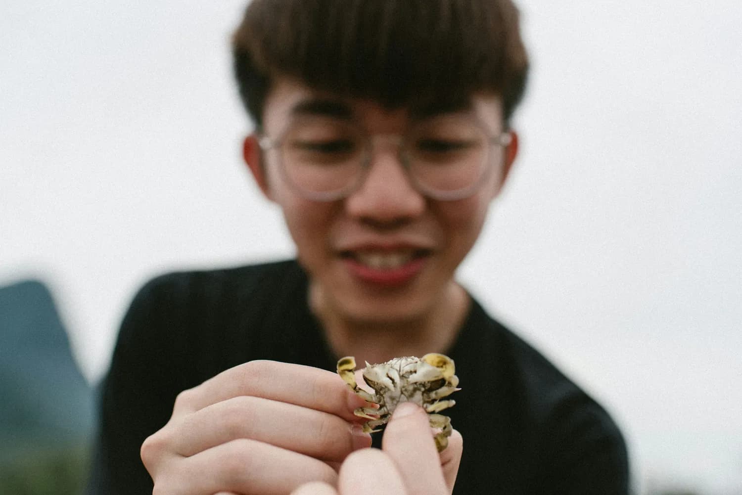 揭秘属鸡男的神秘性格：理性务实、热情浪漫的完美结合