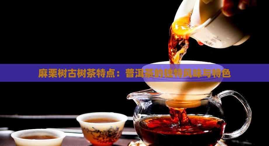麻栗树古树茶特点：普洱茶的独特风味与特色