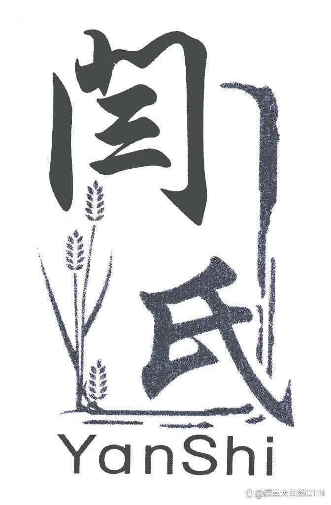 闫姓并非一家：从姬姓分支到燕严改姓的历史演变