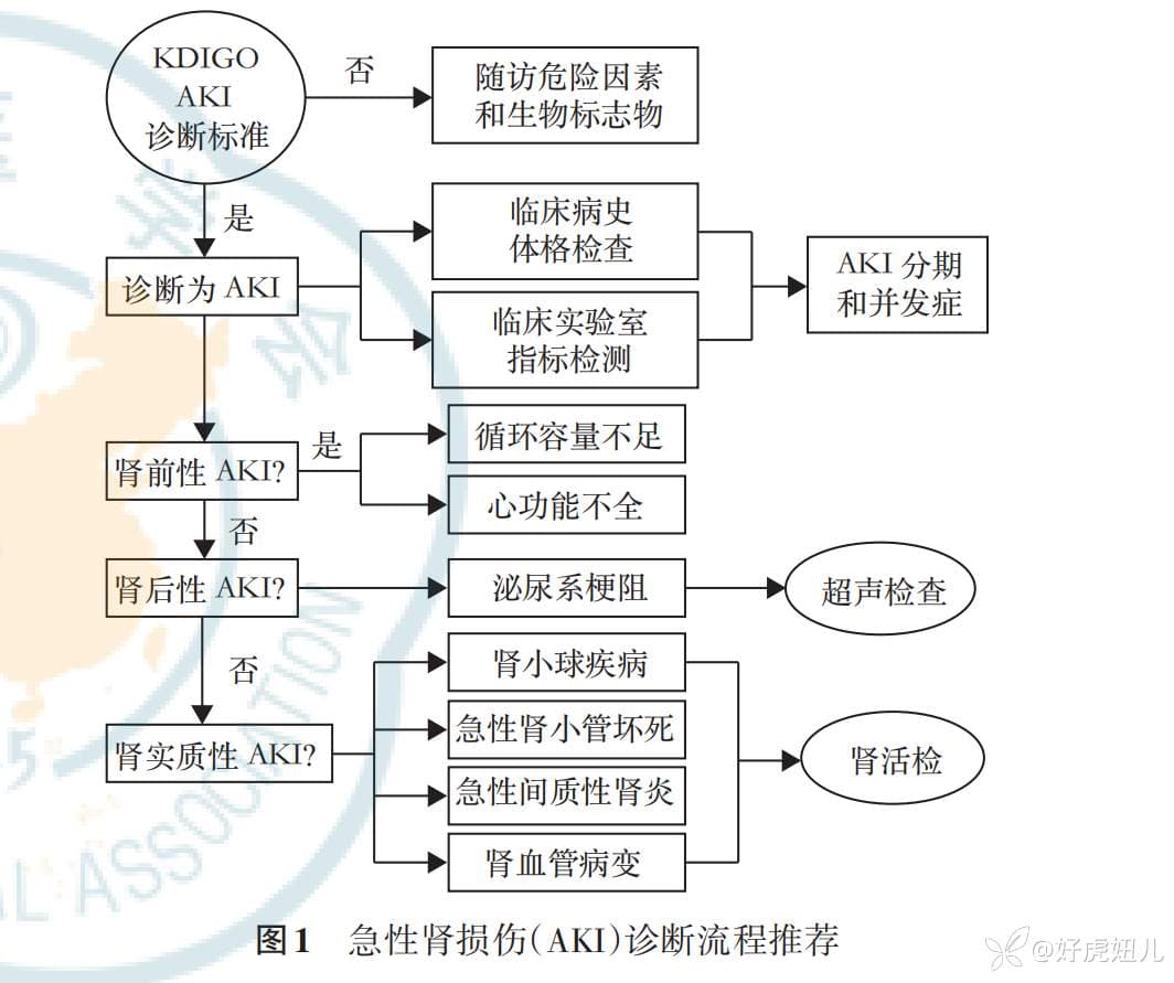 中国急性肾损伤临床实践指南发布