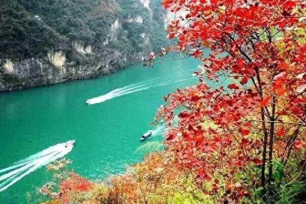 构建企业竞争的10条护城河