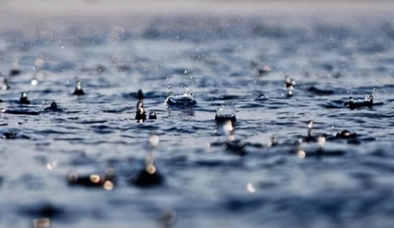 生活中的化学——防治硫酸型酸雨的方法