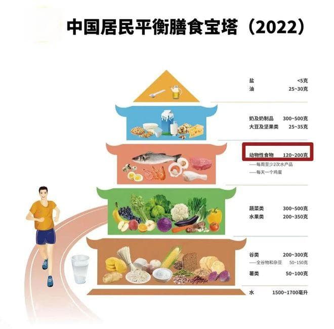 胆固醇摄入限制取消？专家解读膳食指南新变化