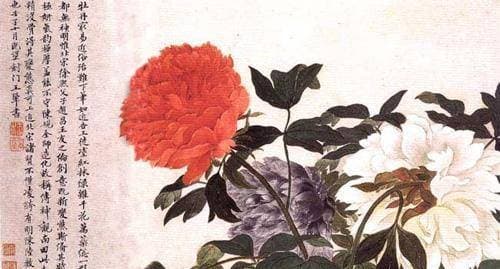 “唯有牡丹真国色，花开时节动京城”，谈谈唐宋牡丹文化的审美论