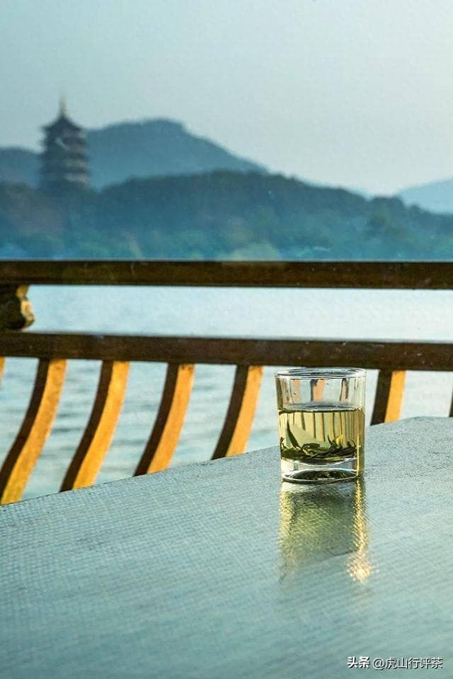 一杯茶中的江南诗意与千年风华——浙江绿茶地图
