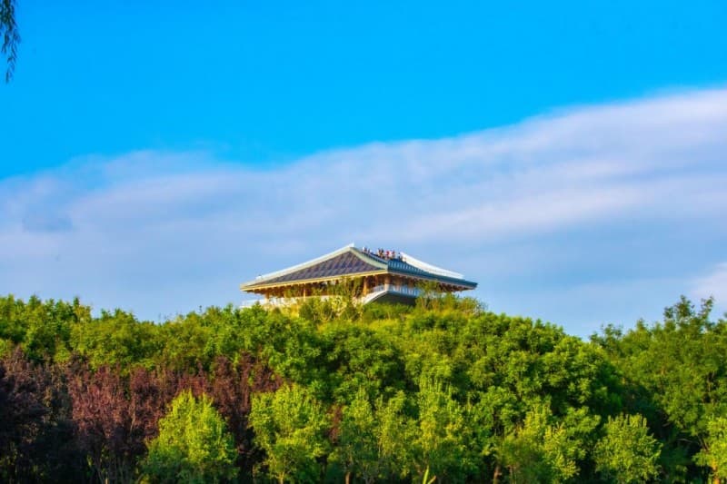 北京最美观景台 南苑森林湿地公园燕景台成为打卡新热门