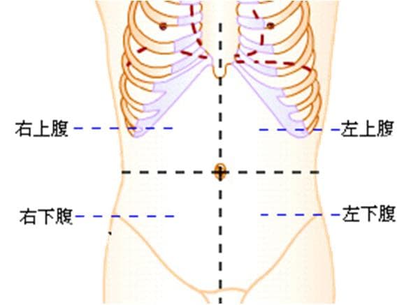 腹部检查方法详解：视、触、叩、听四种方法及其操作步骤