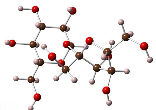 碳基生物：生命的基础元素
