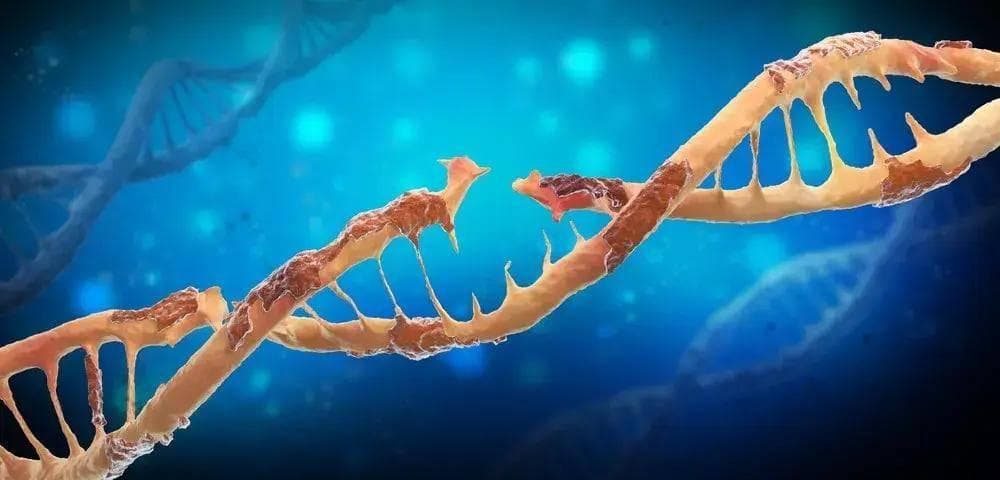哈佛大学研究：长白头发的人不易患癌？科学还是谣言？真相来了