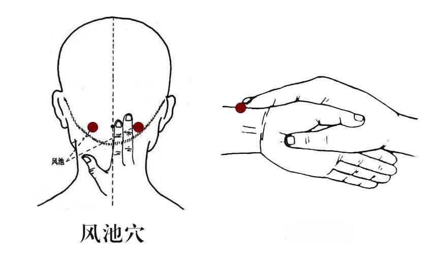 百草益寿：解决冬季感冒流涕鼻塞，清肺寒化肺热的三个中医外治法
