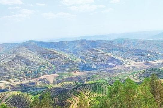 黄土高原的绿色生态典范：甘肃定西安定区水土保持治理成效显著