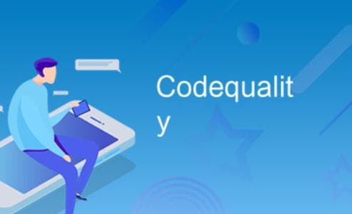 代码质量（Code Quality）：确保软件开发的高标准与稳定性