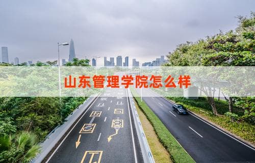山东管理学院怎么样？从多个角度深度解析