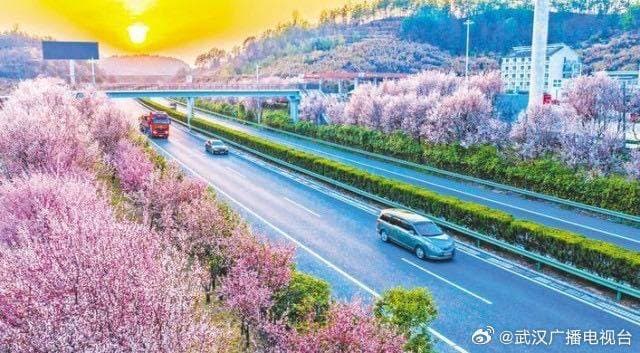 湖北推出ETC畅行卡：节假日前后两天高速通行费享五折优惠