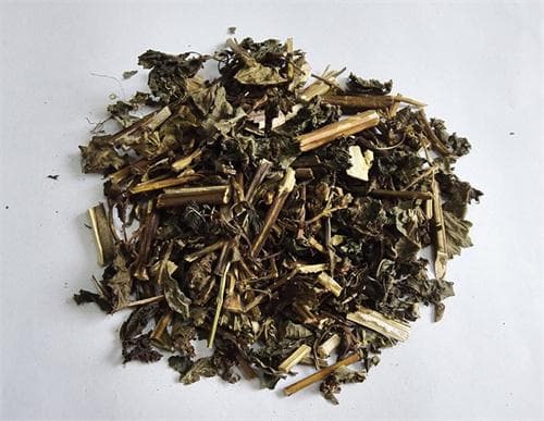 紫苏的功效与作用 服用紫苏时的注意事项