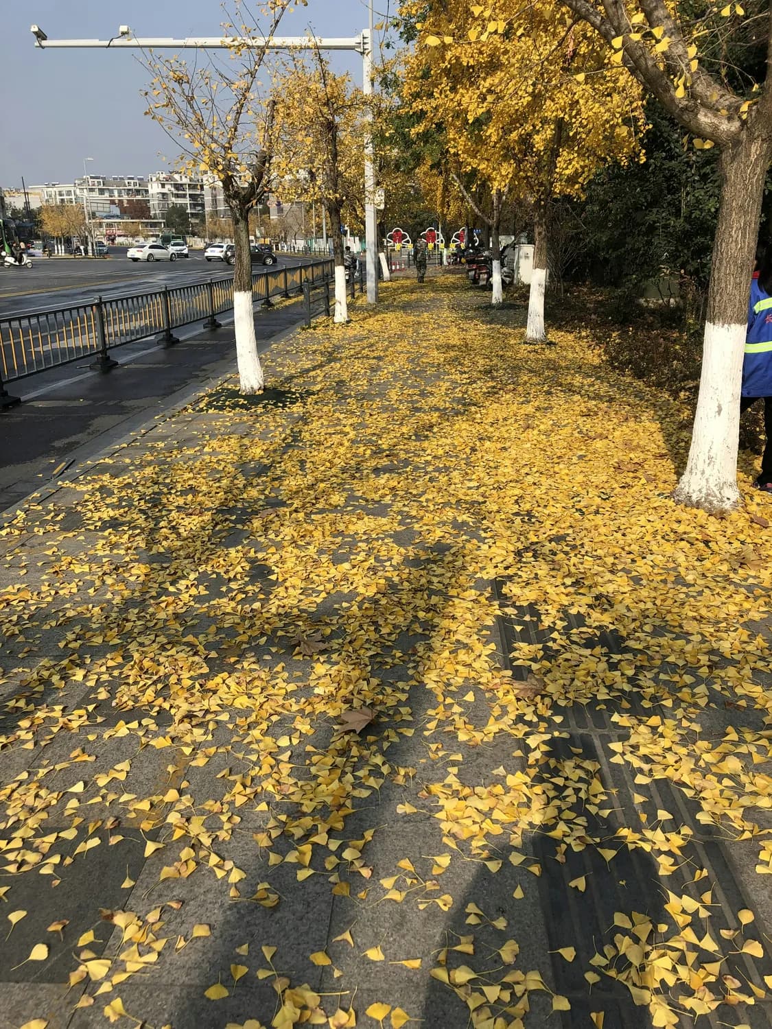 瑶海区城管局春节垃圾清运安排出炉！42名作业人员、42辆清运车全员在岗