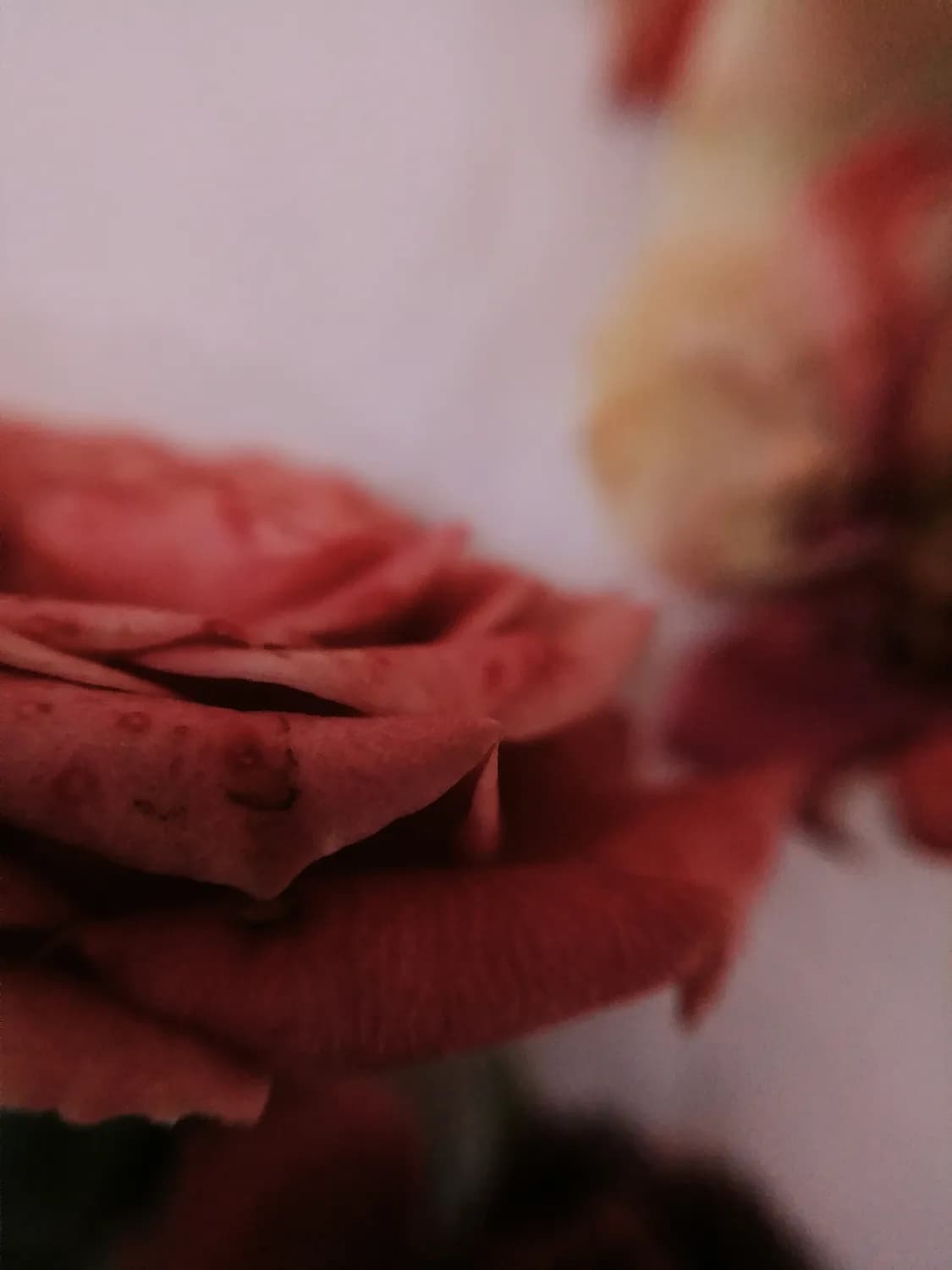 《繁花》《庆余年2》OST霸屏，你单曲循环哪首？