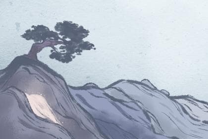 日柱是什么有什么作用