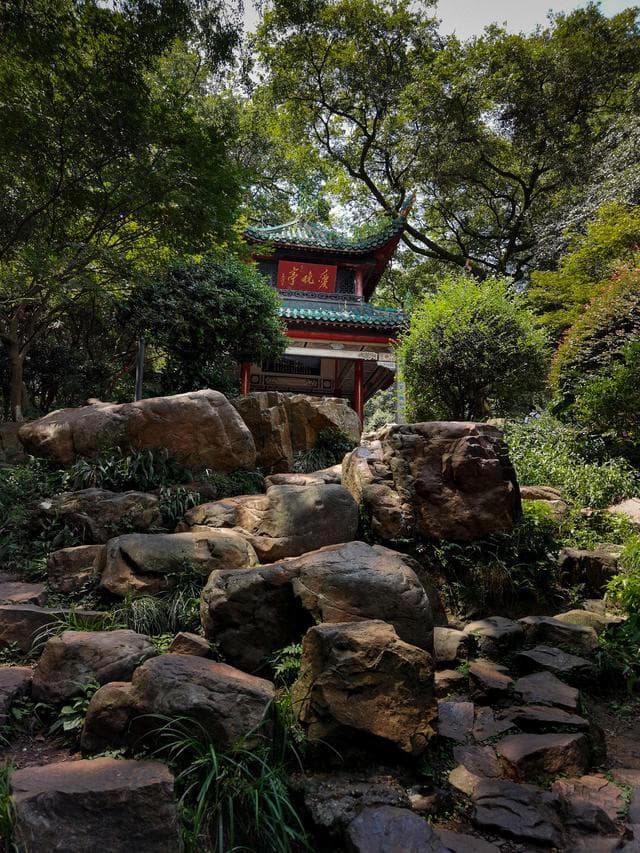 桐君山景区介绍：探秘中药鼻祖的故乡
