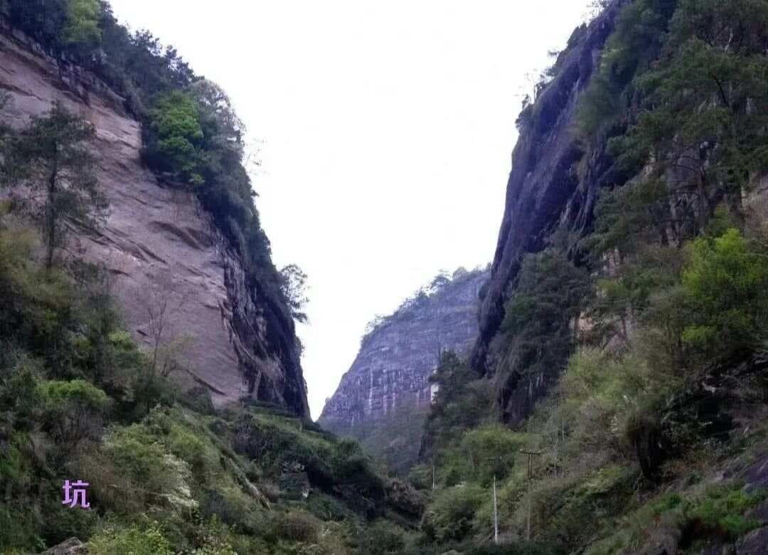 武夷岩茶的“坑涧窠岩峰窝洞”七种地形与代表山场