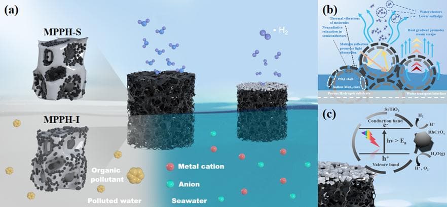 南航常焜教授团队研发新型水凝胶蒸发器：实现高效海水淡化与光催化制氢