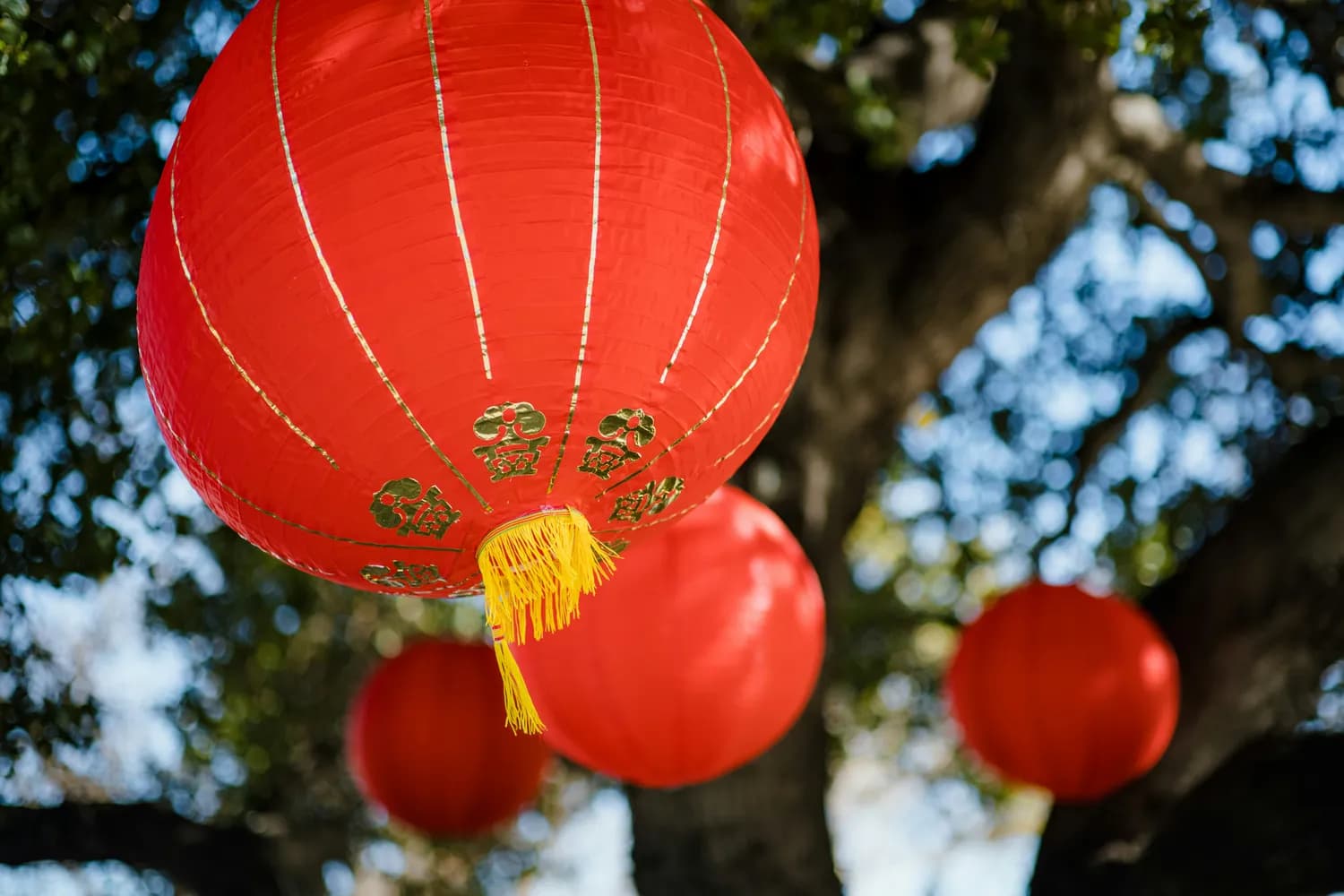 四年级语文易错读音词汇总：10个四字词读音解析与学习方法
