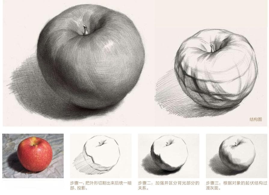 素描起步系列十二│单体静物素描