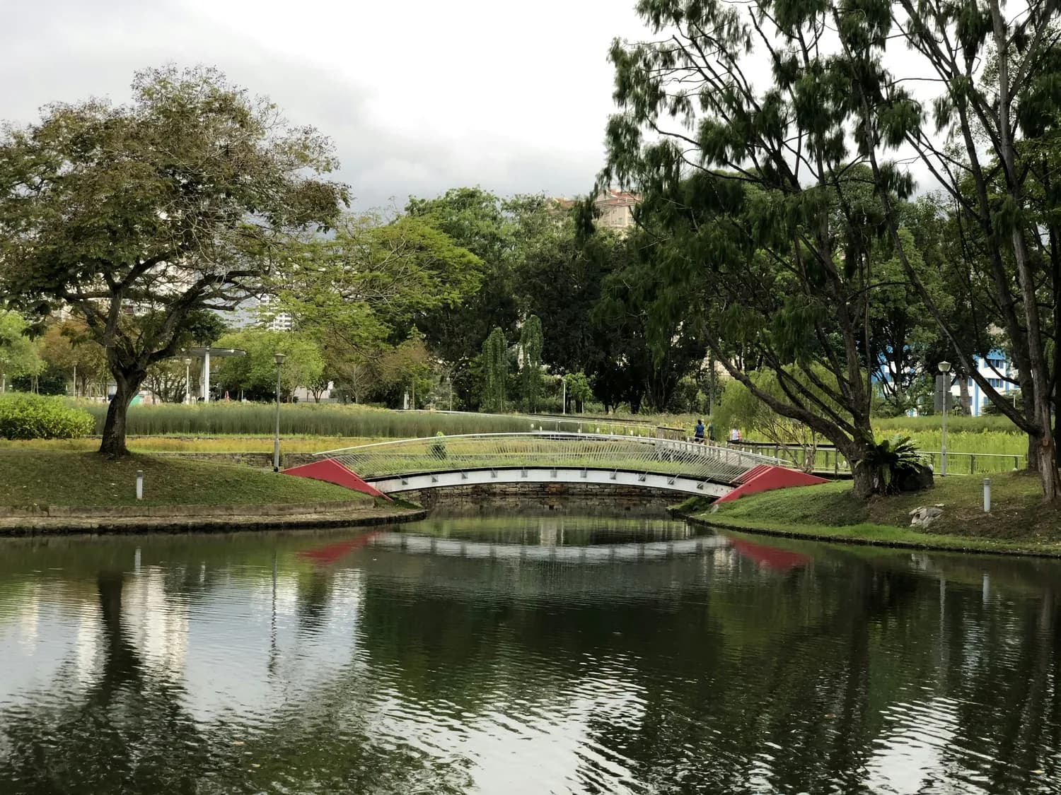 璧山最美自然景观：观音塘湿地公园游玩攻略