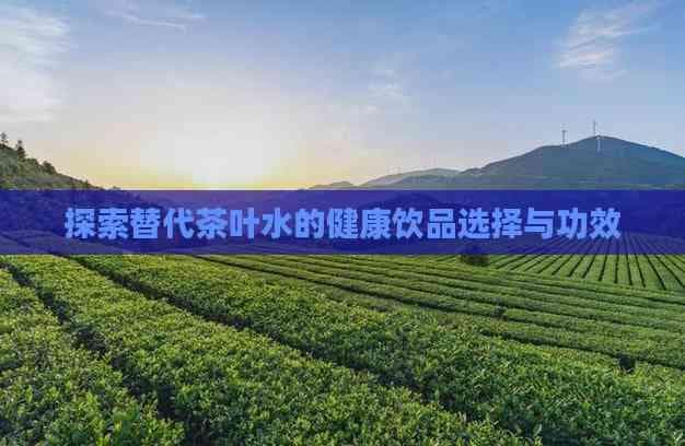 探索替代茶叶水的健康饮品选择与功效