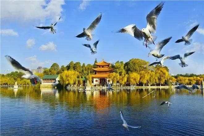 10个适合旅居的中国城市：气候宜人，花开不断