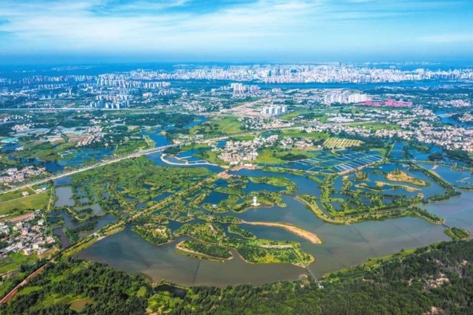 海南海口｜果香洋溢的酿酒胜地