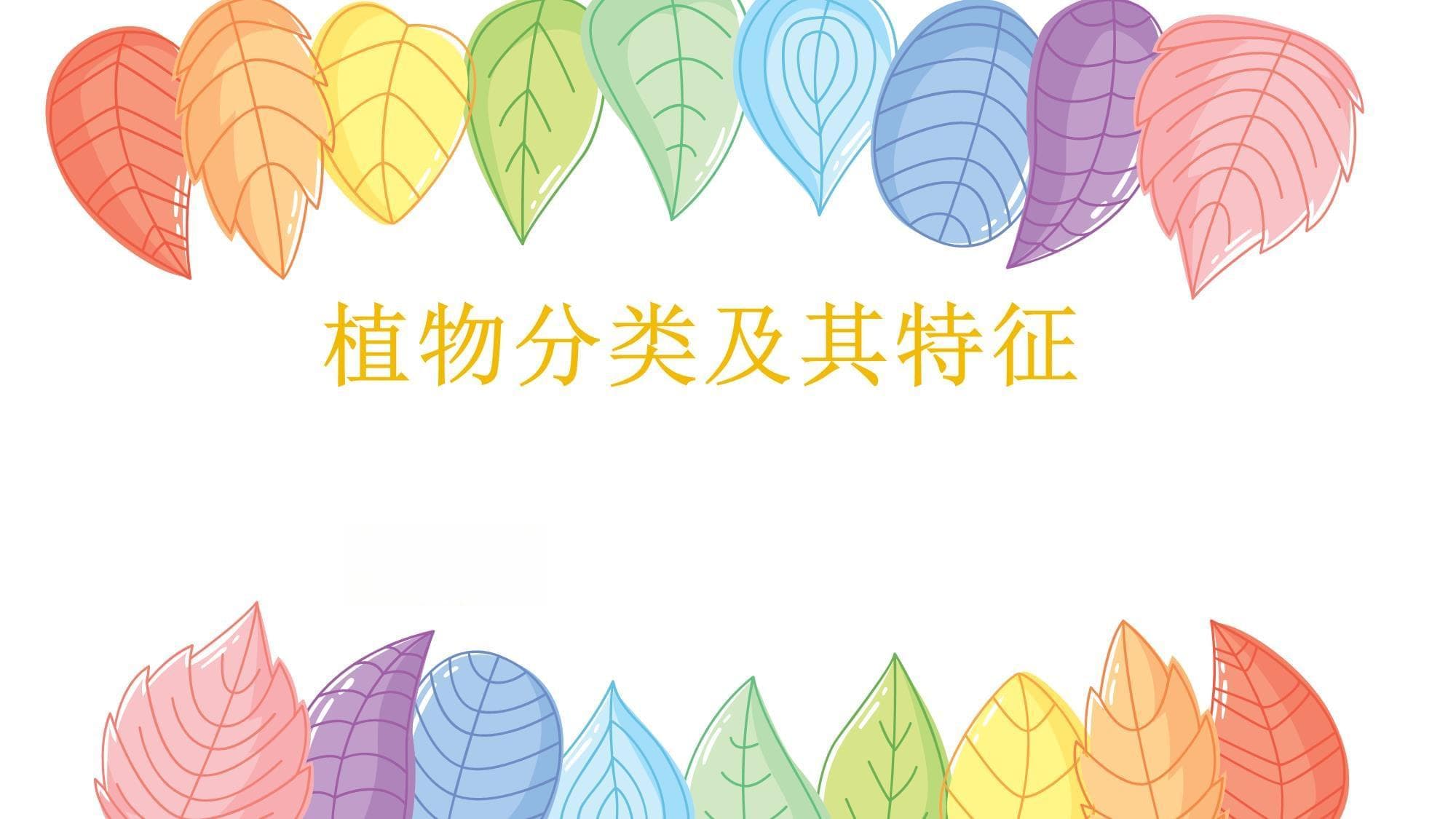 植物分类及其特征