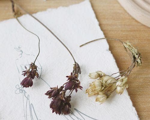 家庭DIY（用家中鲜花打造美丽干花）