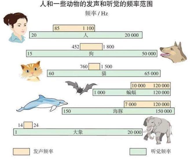 主动降噪耳机的不适感从何而来？