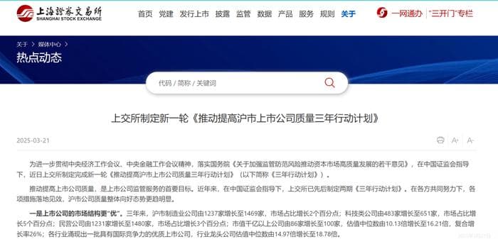 剑指上市公司财务造假毒瘤，上交所新政明确严监严管